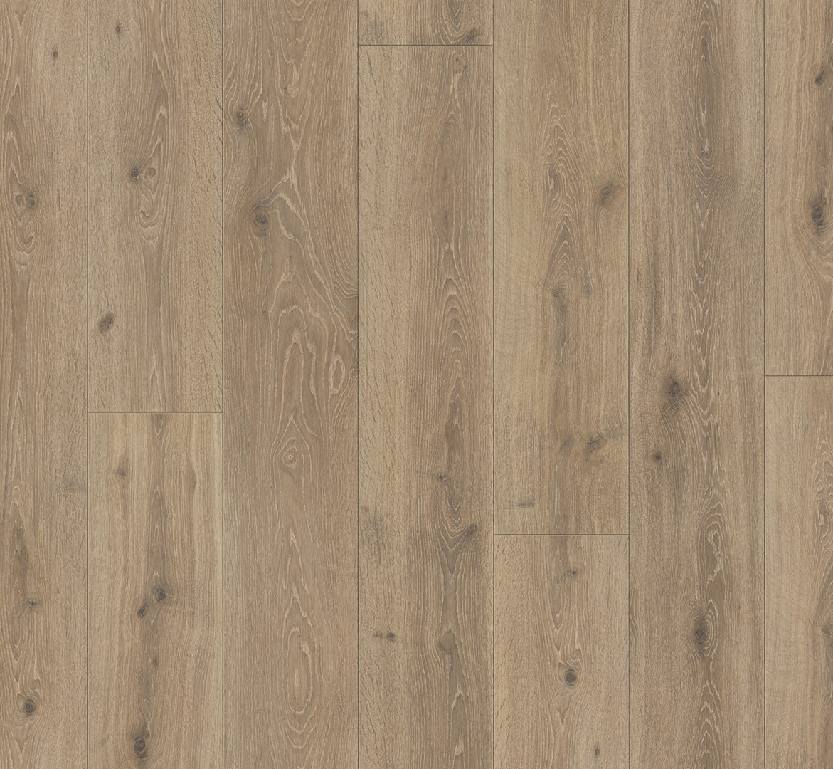 Oak Castell Limed - Trendtime 6 Chateau Plank XXL 4V AC5/Class 33 (Heavy Commercial)