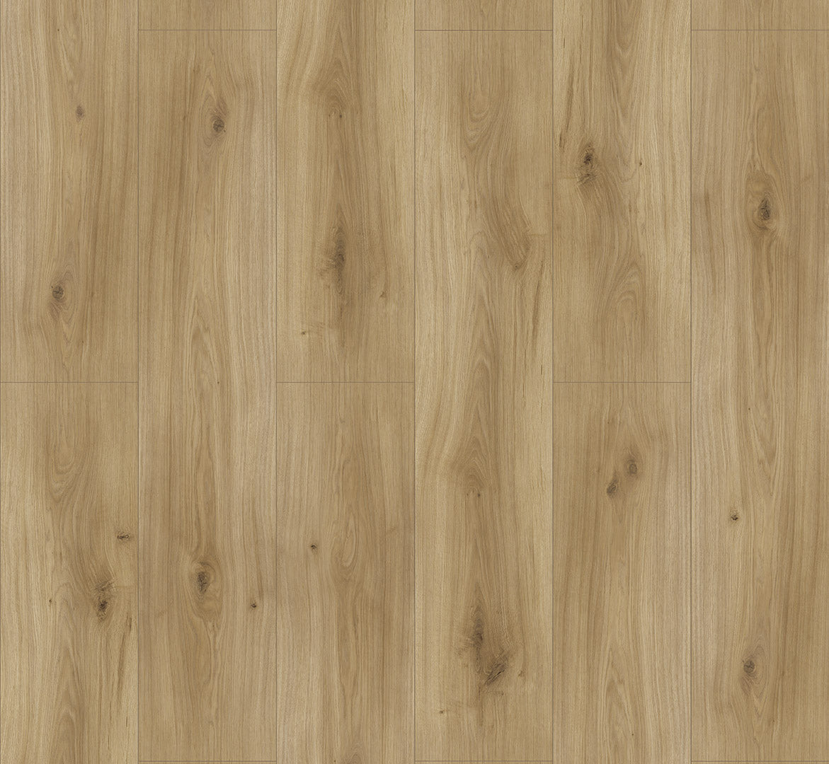 Oak Horizont Natural - Basic 600 4V 8mm AC4/Class 32 Wide Plank