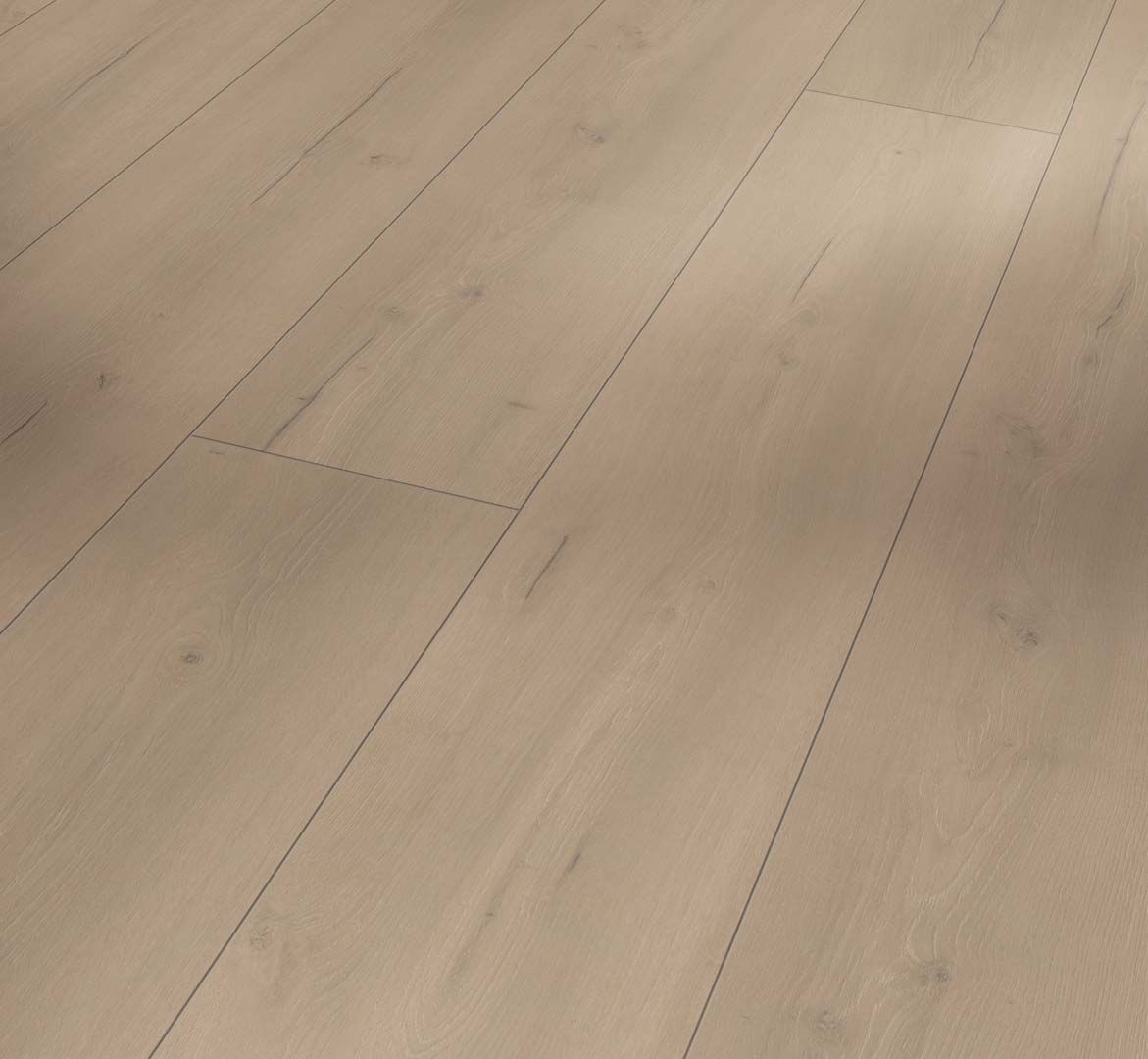 Oak Loft Grey - Trendtime 6 Chateau plank XXL 4V AC5/Class 33 (Heavy Commercial)