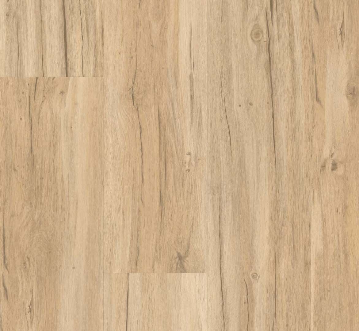 Oak Memory Sanded - Basic 2.0 Class 32 Vinyl Glue Down Wide Plank (Commercial)