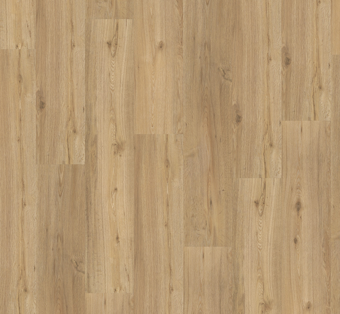 Oak Natural - Basic 2.0 Class 32 Vinyl Glue Down Wide Plank (Commercial)