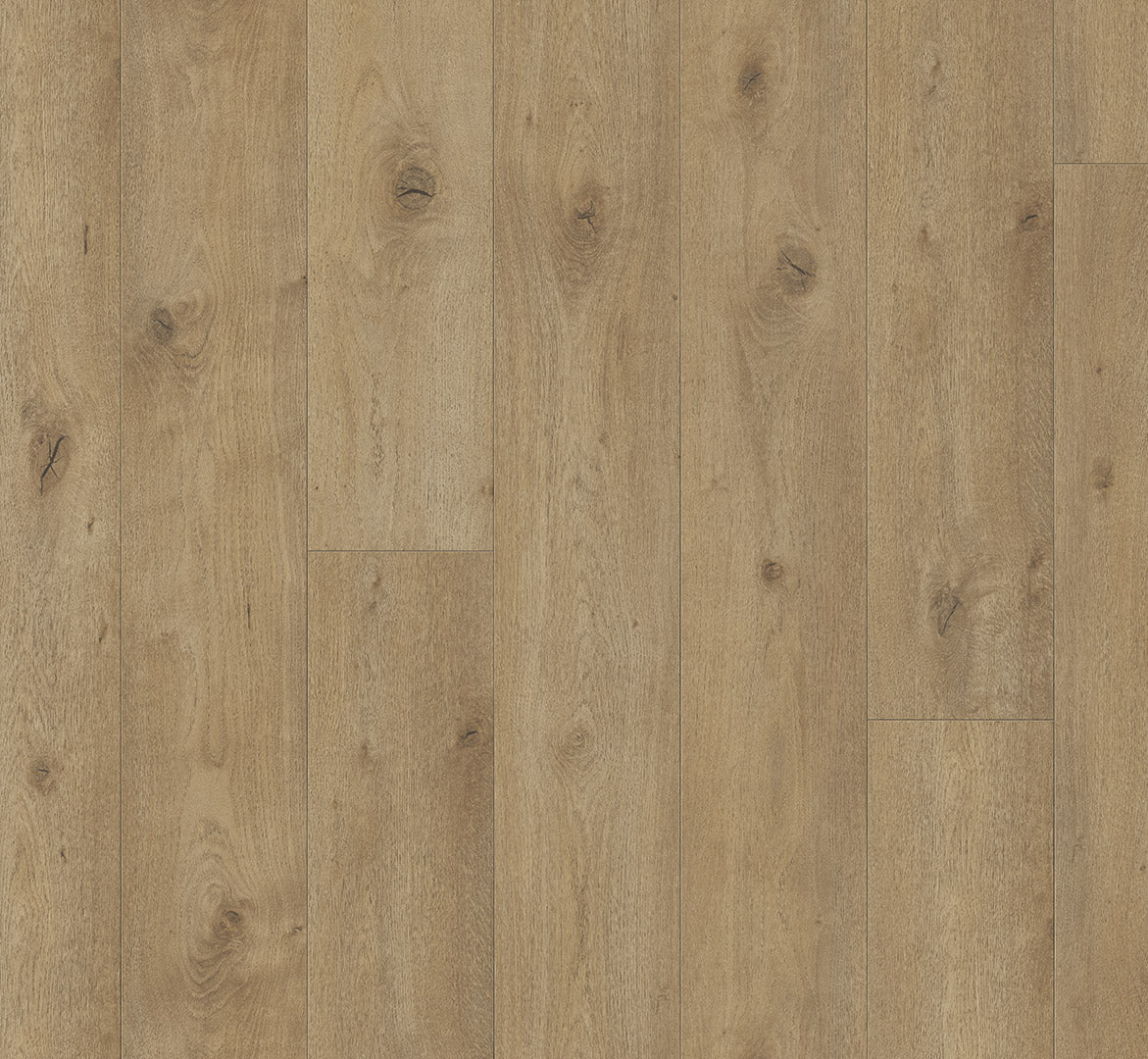 Oak Everglade Natural - Trendtime 6 Chateau plank XXL 4V AC5/Class 33 (Heavy Commercial)