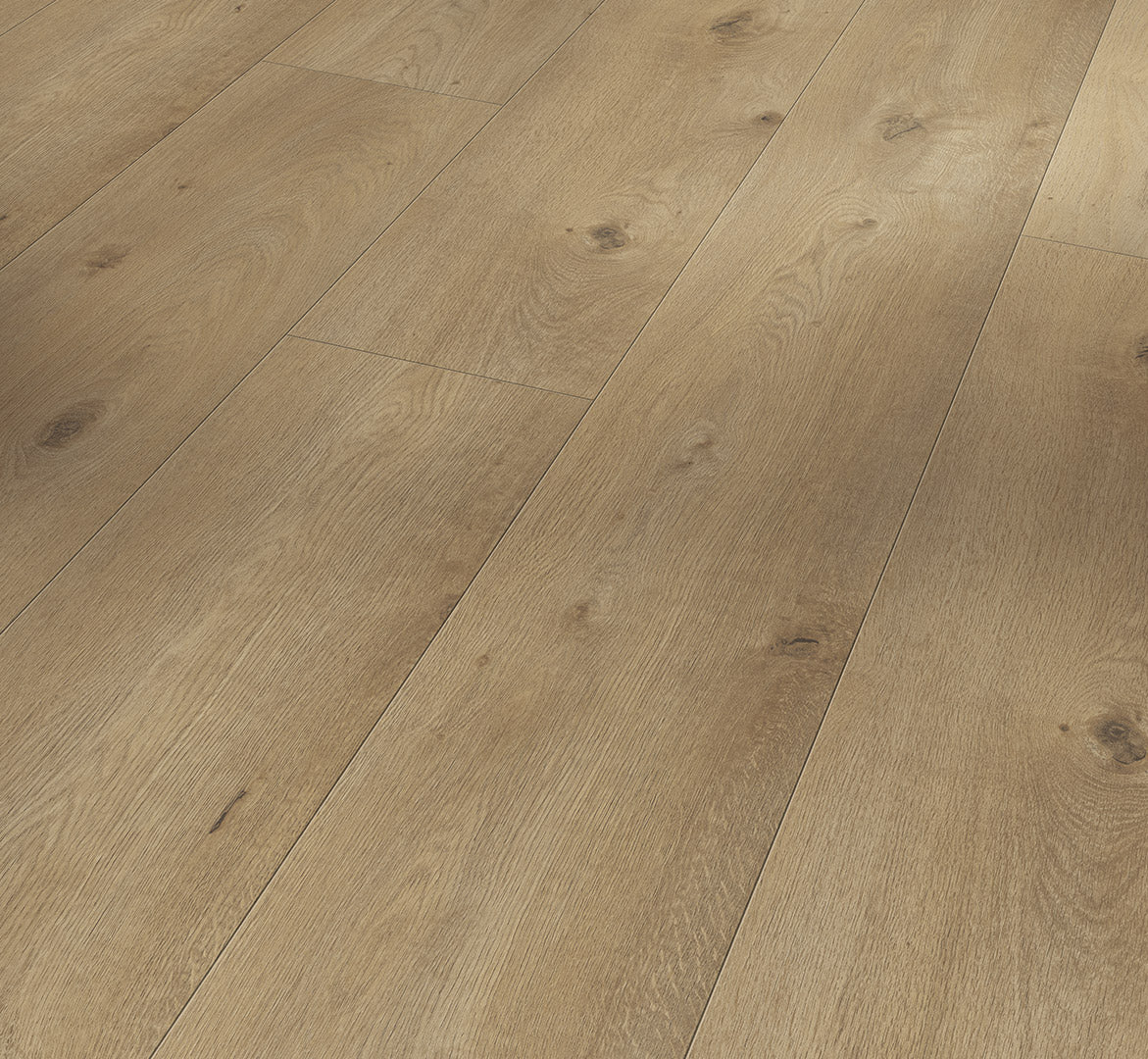 Oak Everglade Natural - Trendtime 6 Chateau plank XXL 4V AC5/Class 33 (Heavy Commercial)