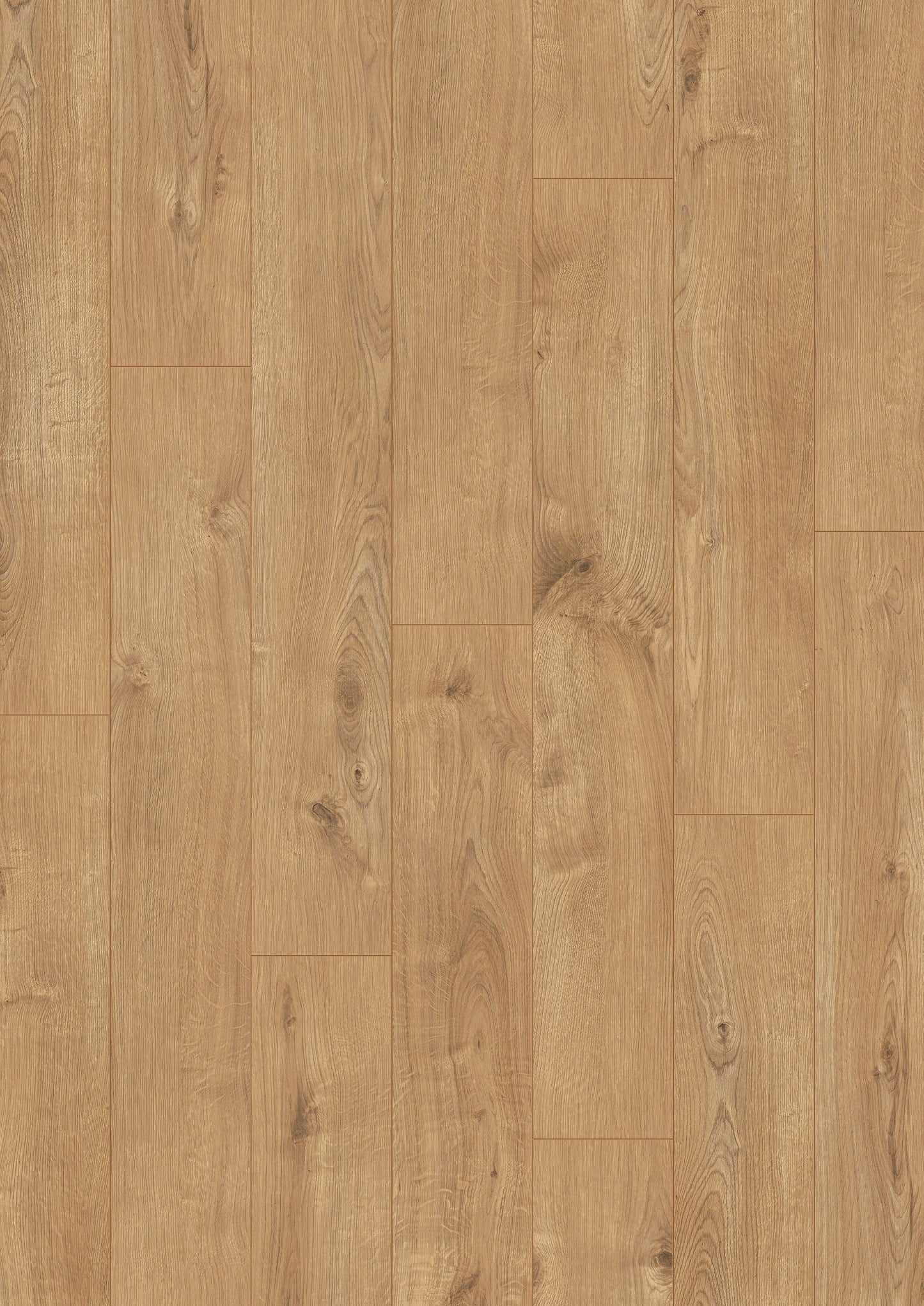 Oak Muse - Urban Click'in 8mm 4V AC4/Class 32 (Light Commercial)