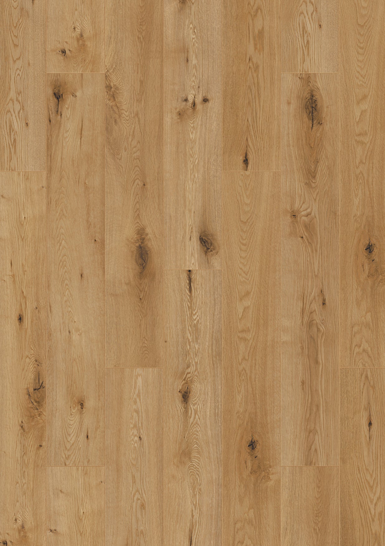 Oak Primus - Urban Click'in 8mm 4V AC4/Class 32 (Light Commercial)