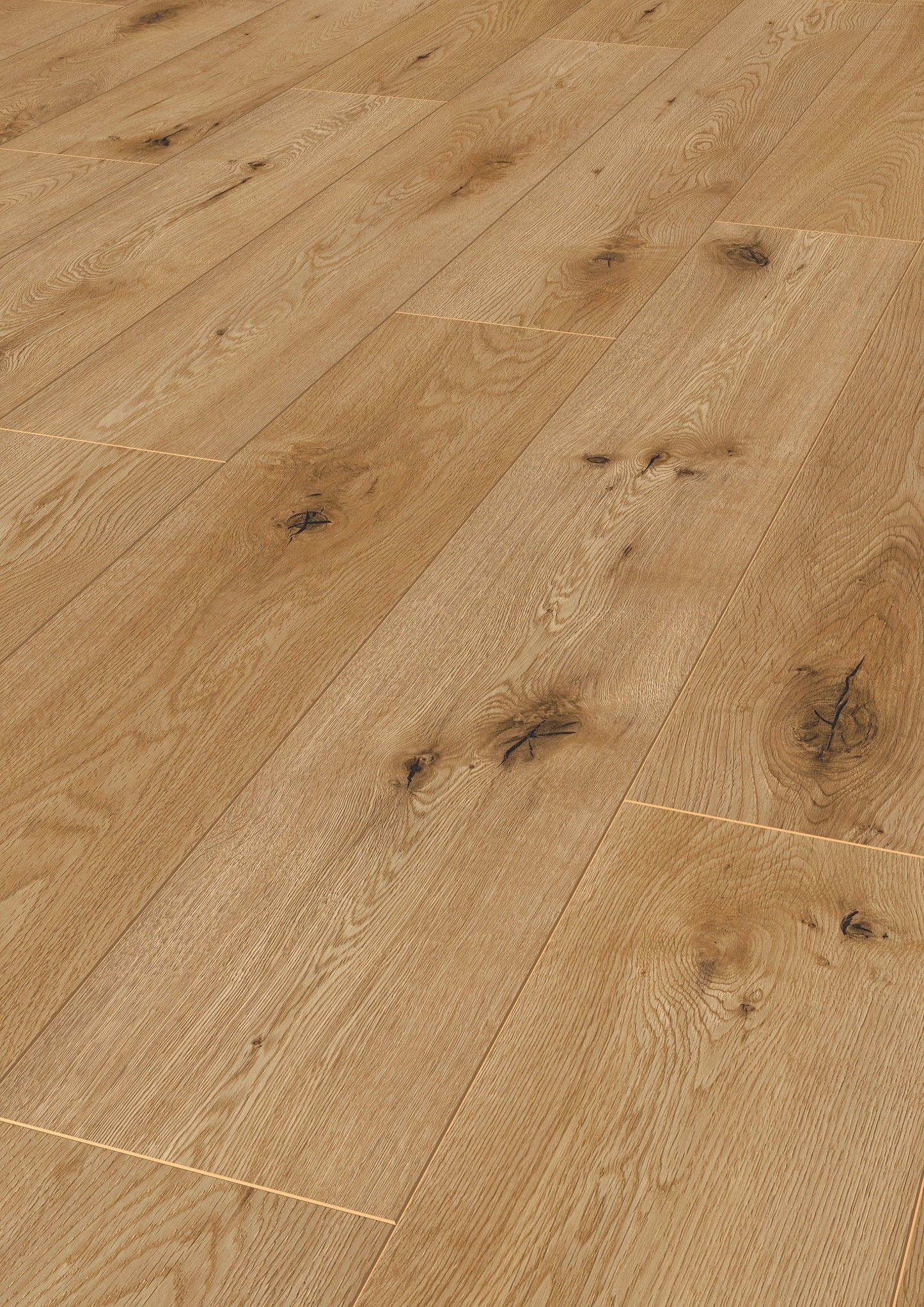 Oak Primus - Urban Click'in 8mm 4V AC4/Class 32 (Light Commercial)