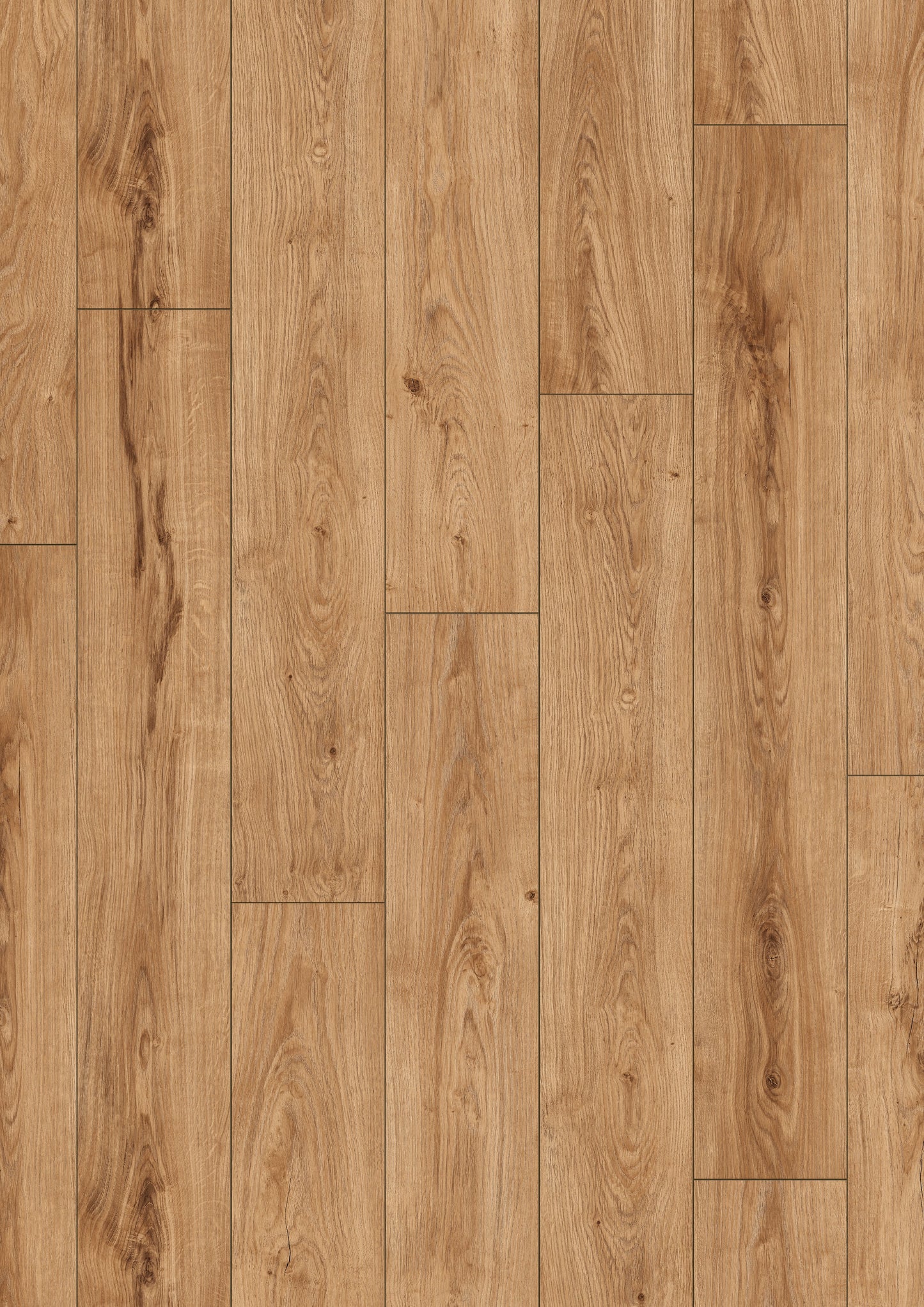 Oak Caspian - Urban Click'in 8mm 4V AC4/Class 32 (Light Commercial)