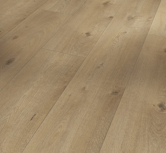 Oak Everglade Natural - Trendtime 6 Chateau plank XXL 4V AC5/Class 33 (Heavy Commercial)